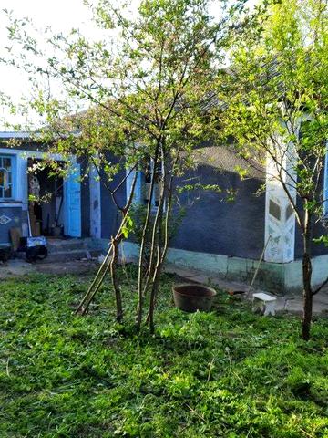 Продається будинок в с. Балин, Кам’янець-Подільського р-ну