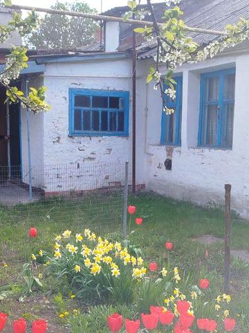 Продам 2-кімнатну квартиру в центрі селища Драбів, Золотоніського району з двором, гаражем і садком