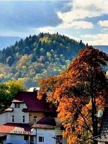 Здам 2 кімнатна квартира Яремче