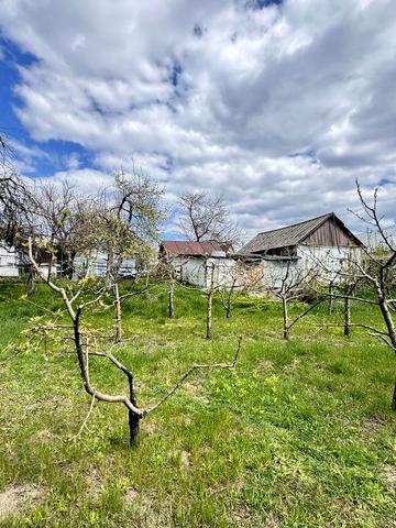 Затишний будинок в мальовничому селі на Білоцерківщині