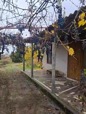 Продаю дом у Парутине