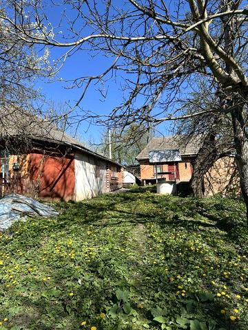 Будинок в селі біля ставка