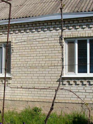 Продам дом 120 кв.м, возле лимана, Лиманское, Раздельнянский р-н. Є відновлення