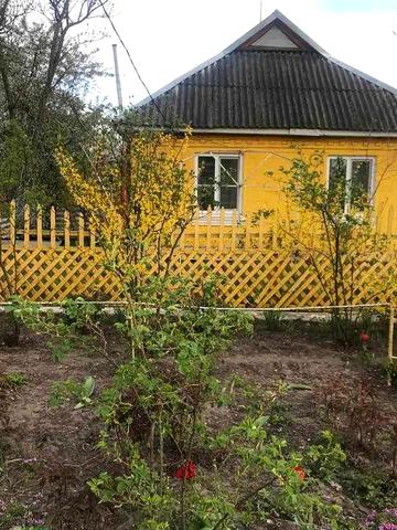 Нерухомість → Оренда будинків