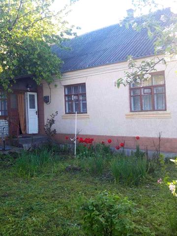 Дуже затишний дім у Кодимі