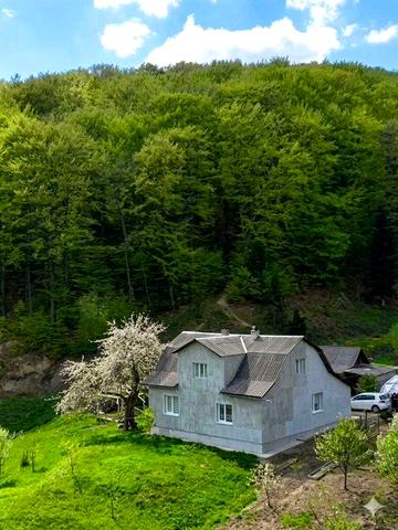 Відпочинок мрії у Forest Family House!