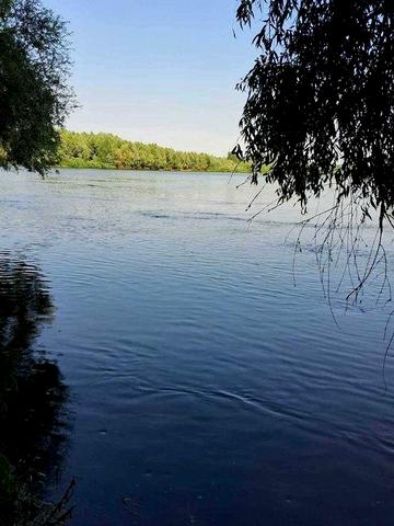Оренда будинку на Десні село Максим
