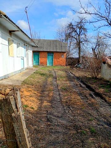 Продається хата в селі Жилинці (не ріелтор)