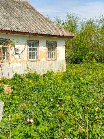 Будинок сдам в оренду довгострокову 1га городу, садок.Поруч річка.
