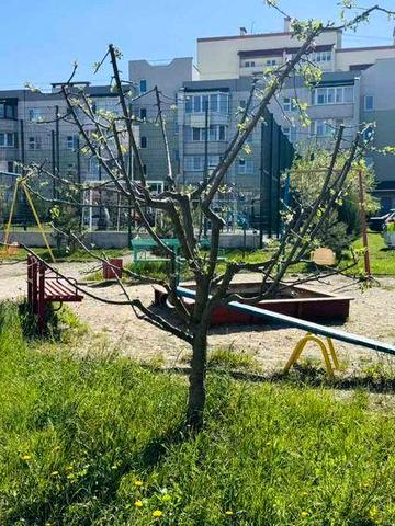 Здається чудова 2 кімната квартира район Академічний.