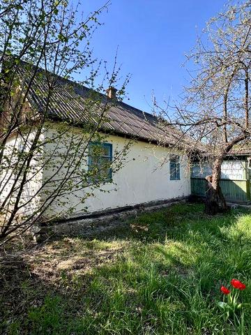 Будинок в лісі, дача, земельна ділянка