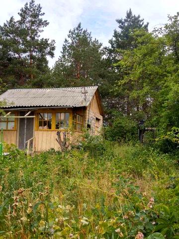 Продаж дачі Київська область с. Вища Дубечня