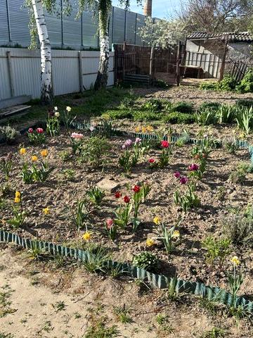 Продається будинок в Броварському районі,в мальовничому село Семиполки ,