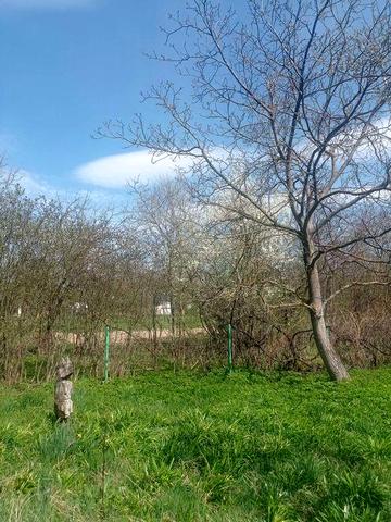Дача з добротним будиночком в с. Мала Туря Івано - Франківської обл.