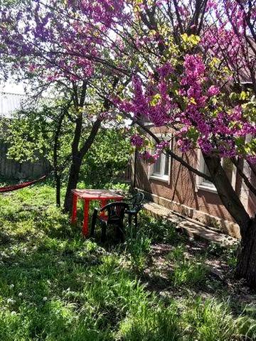 Затишний будинок для відпочинку