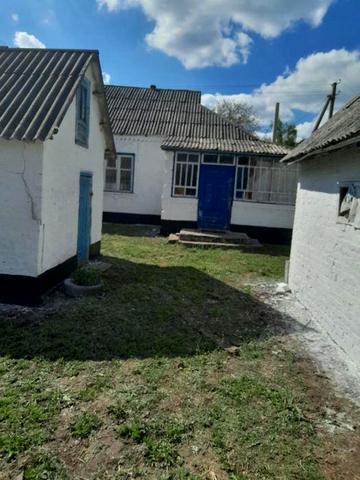 продаж будинку с. Володимирівка ( Білоцерківський р-н Київська обл. )