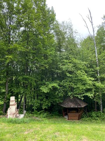 Будинок в карпатах