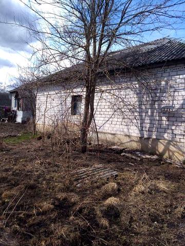 Продам будинок в селі Радичів