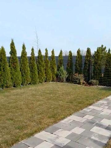 Оренда перше заселення таунхаусу 129 м²   | Eastville