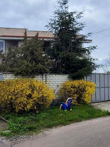 Сдам будинок  в оренду, Бабаї