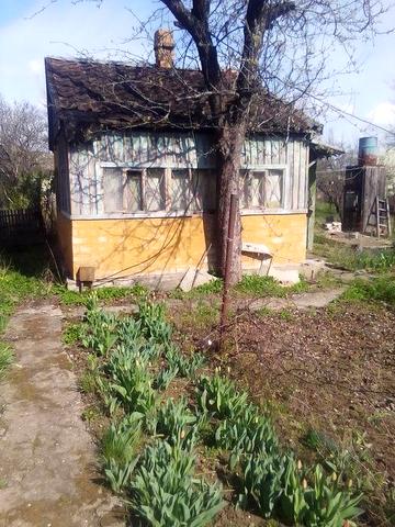сдам дачу в Запорожье