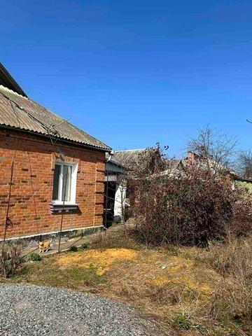 Продам будинок в Немирові 8487