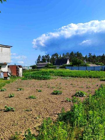 Продаж будинку Рудня 24 сот без комісії %