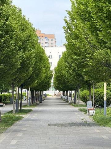 Видова двокімнатна квартра в самому центрі Бучі ЖК Central bucha