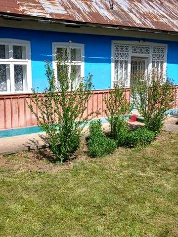 Продається будинок в Івано-Франківській обл.