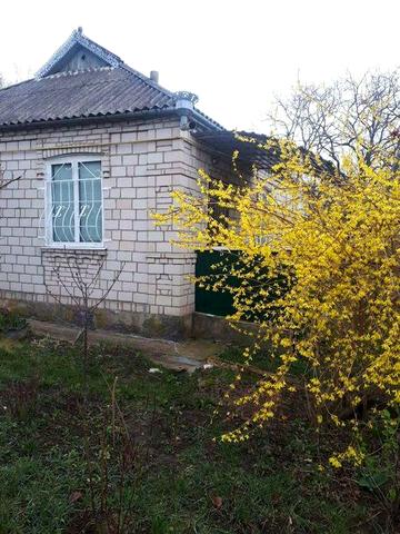 Продаж будинку в Брацлаві