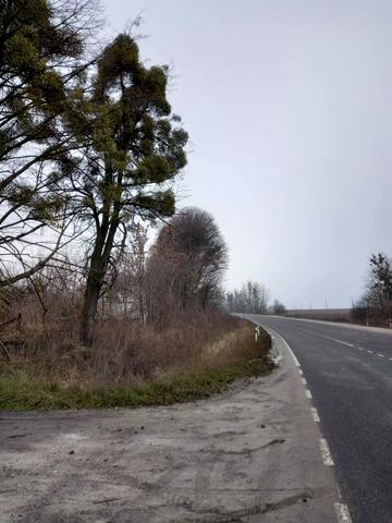 Млинів, Дубенський, Рівненська область 44000 USD