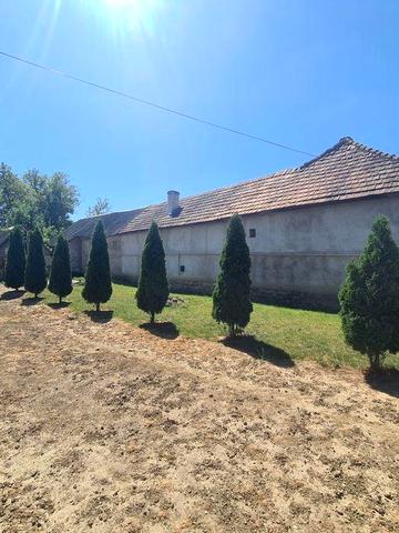 Продається чудовий сімейний будинок в с.Велика Бийгань.