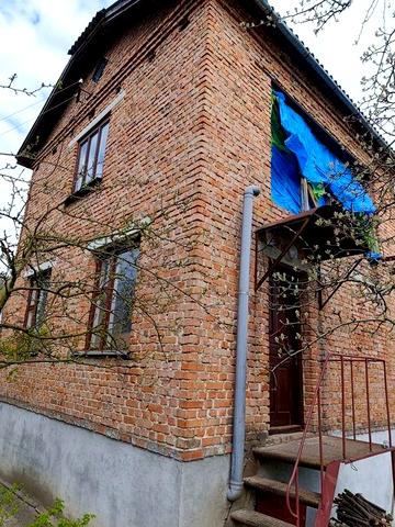 Будинок в селі Петрики