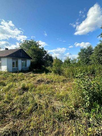 Продам будинок в Тучині — недорого, своя земля 9 соток
