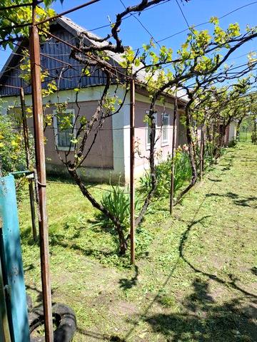 Продам дом Одеська обл., Подільський р-н., село Федорівка