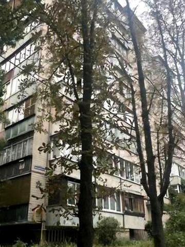 Київ. Нивки. М.Безручко, 23а