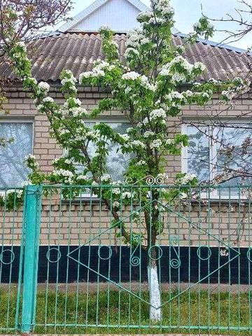 Продам будинок
