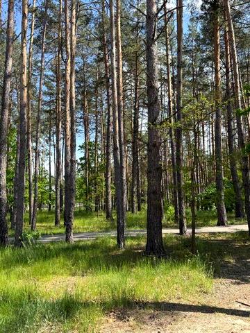 квартира 85 м2 в закритому ЖК серед лісу без комісії з газом в жилому будинку ЖК Парк Таун