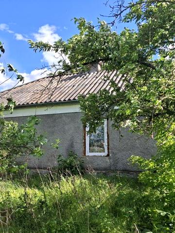 Будинок в селі Катеринка