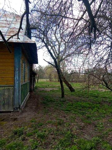 Продам будинок в с. Личини