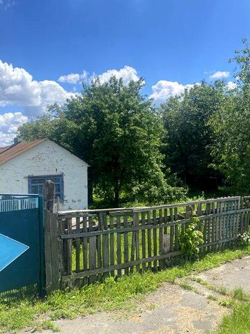 Будинок 105 м² з газом, скважиною та 60 сотками (Золотоніський район) ТОРГ