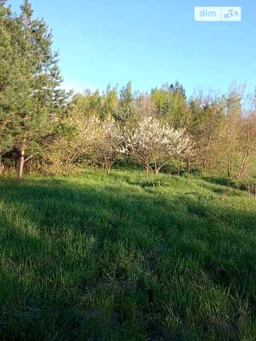 Продаж 4к Дім Лісова вулиця