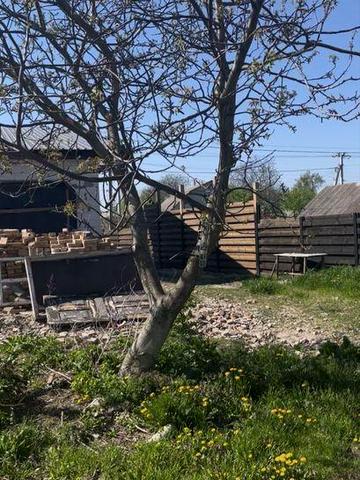 Дом у берега моря 30 соток земли