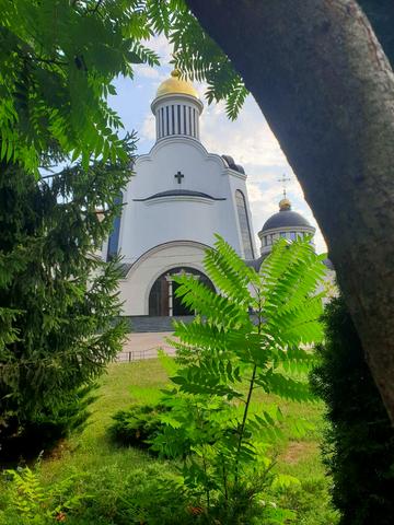 Дмитра Луценка вул. (Крейсера "Аврора"), 9