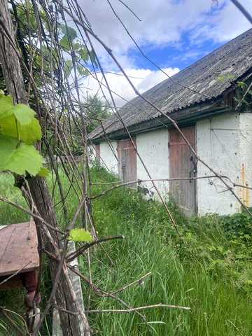 Будинок  село  Тубільці , Соснове