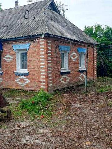 Будинок з великою територією