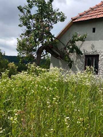 Продам дом Закарпатье Мужиево