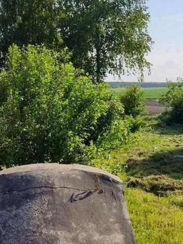Продам цегляний будинок поряд з м.Сокаль