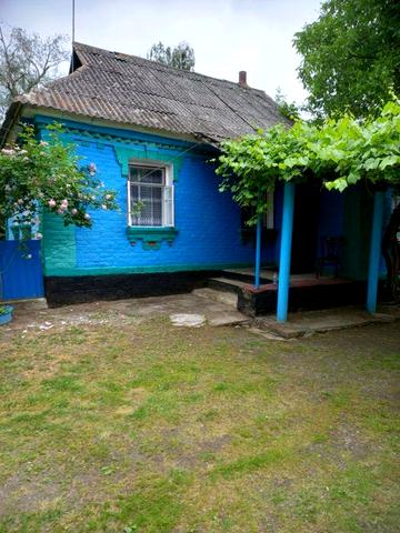 Продаж 1 поверхового будинку і ділянкою на 1 га,