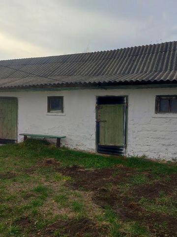 Продам будинок в селі Любарці